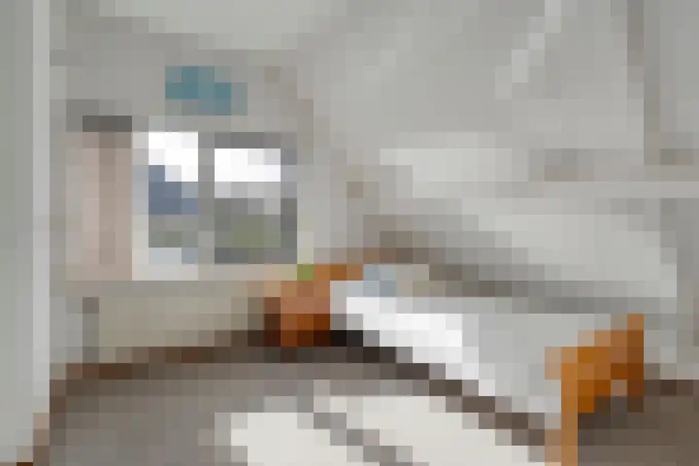 Venetolaan 6 Oldenzaal thumbnail 20