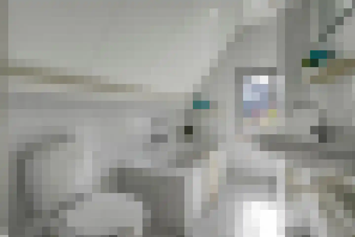 Venetolaan 6 Oldenzaal thumbnail 21