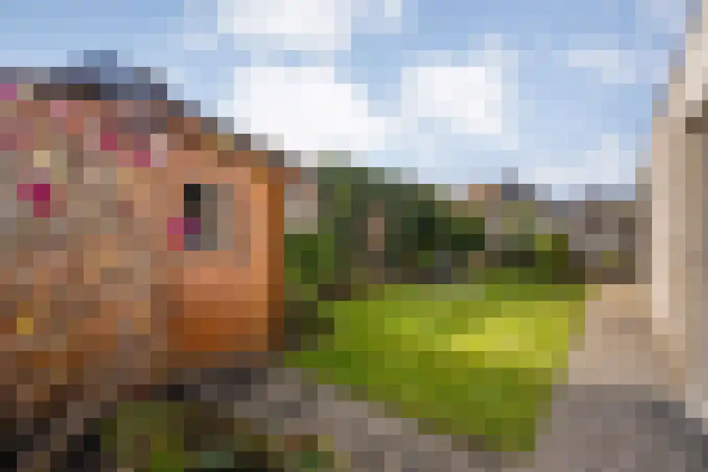 Venetolaan 6 Oldenzaal thumbnail 26