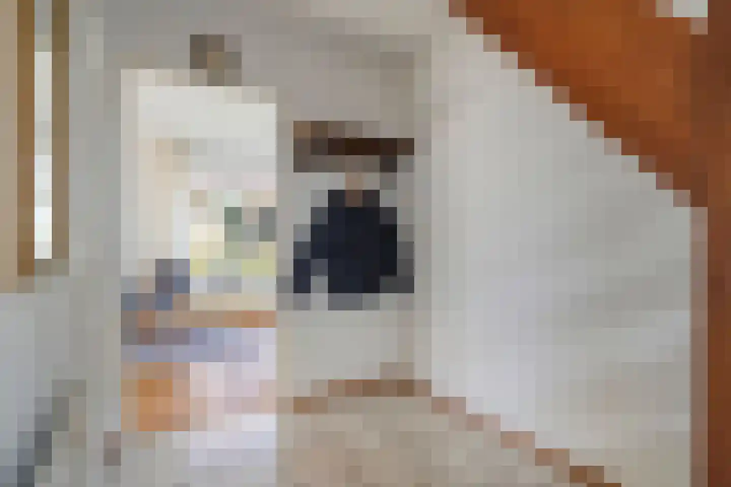 Venetolaan 6 Oldenzaal thumbnail 6