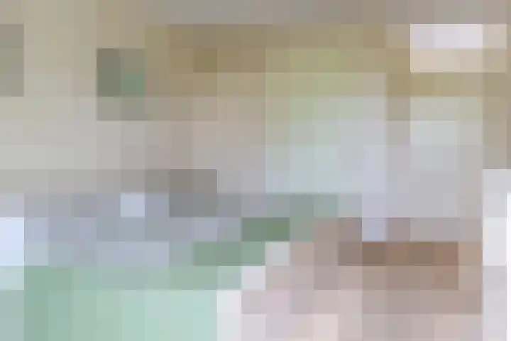 Venetolaan 7 Oldenzaal thumbnail 18