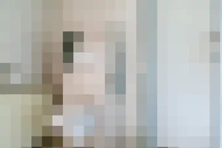 Venetolaan 7 Oldenzaal thumbnail 20