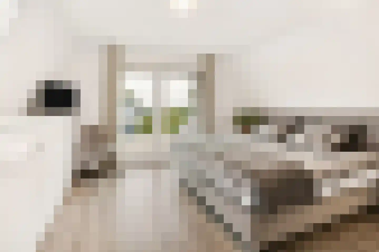 Veneweg 114 Wanneperveen thumbnail 20