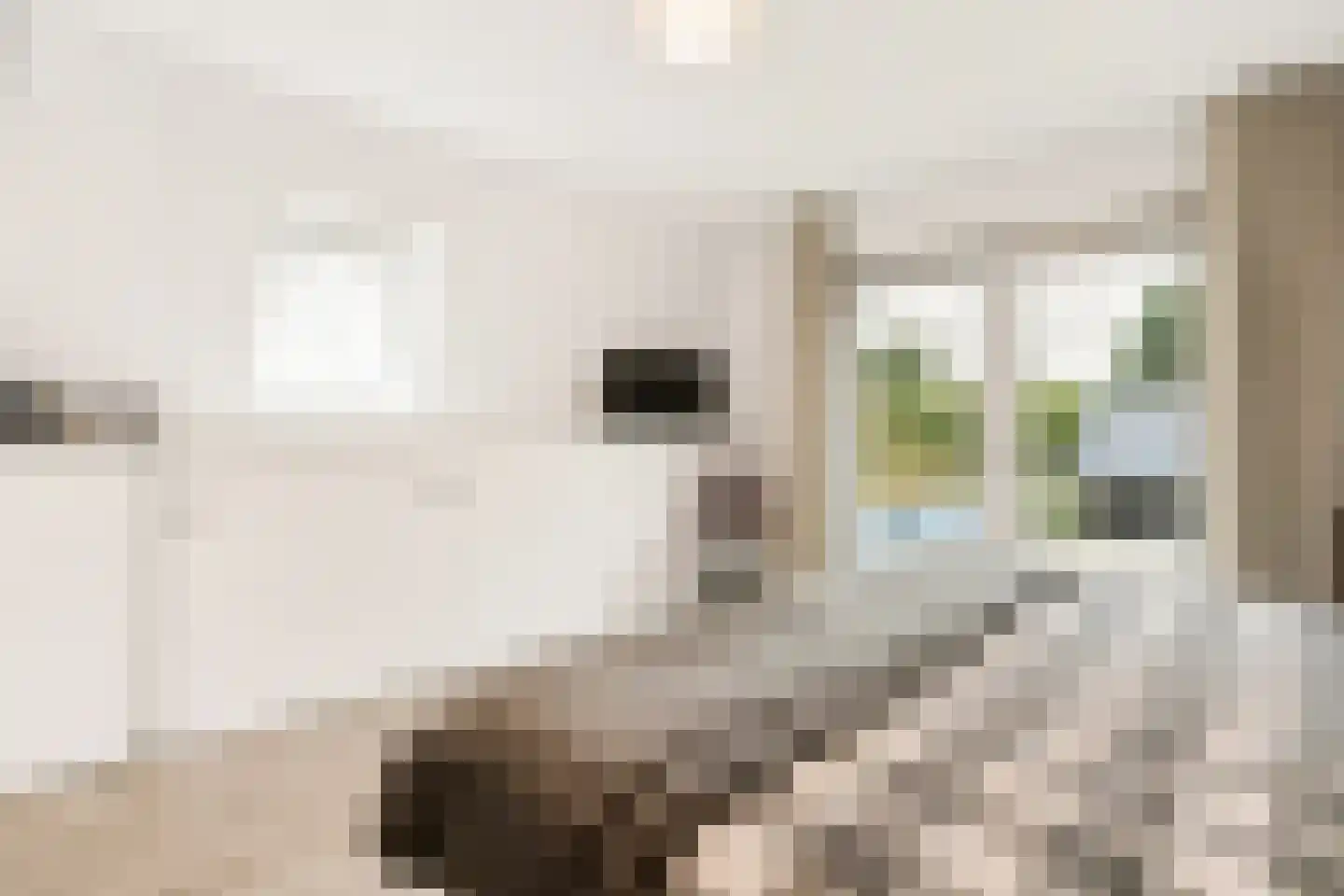 Veneweg 114 Wanneperveen thumbnail 22