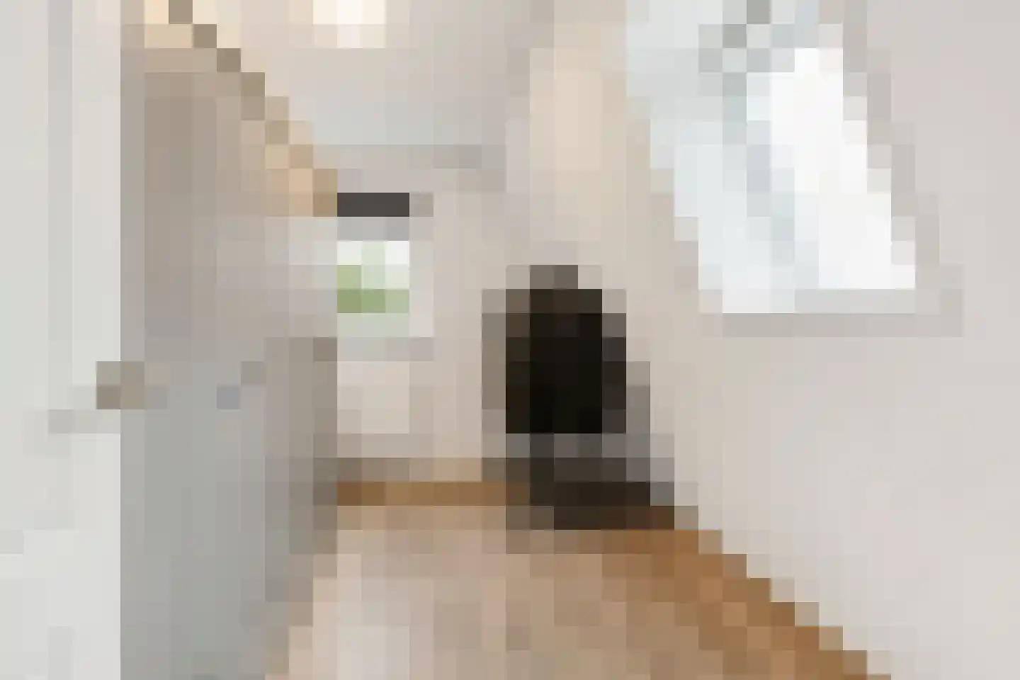 Veneweg 114 Wanneperveen thumbnail 25