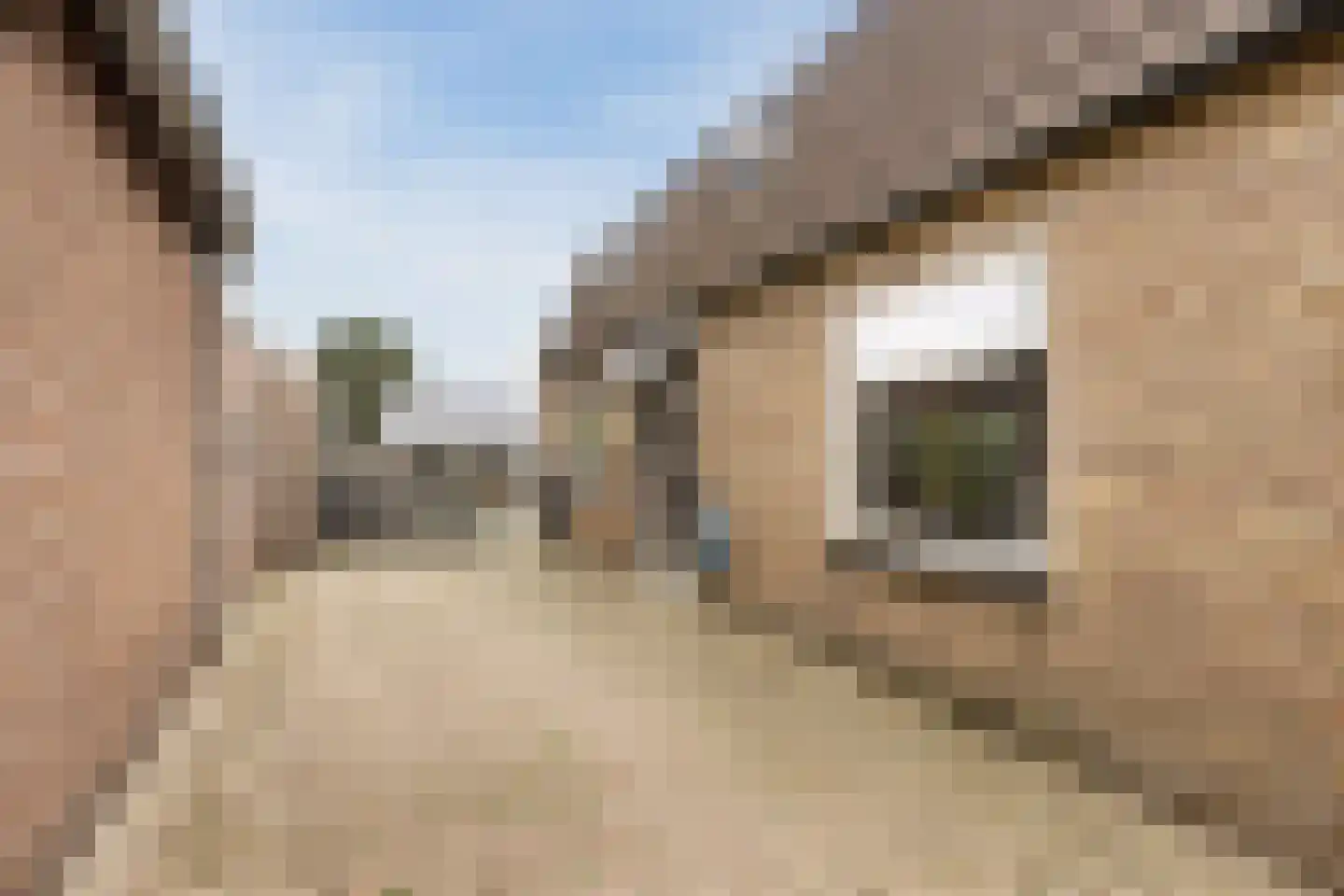 Veneweg 114 Wanneperveen thumbnail 31