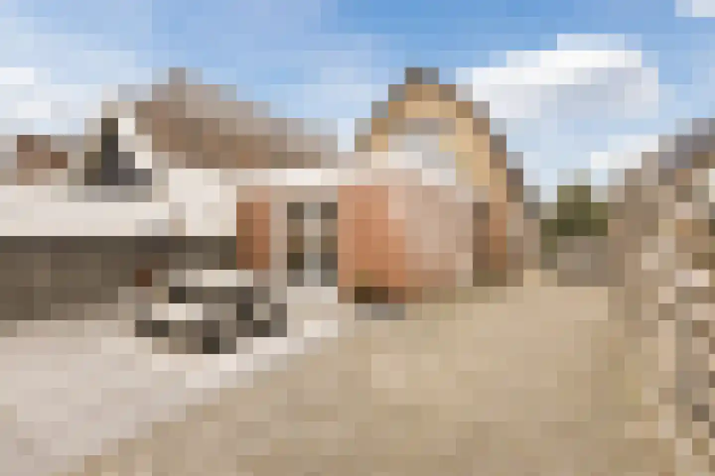 Veneweg 114 Wanneperveen thumbnail 35