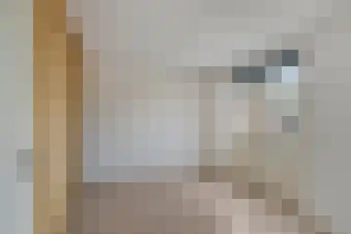 Veneweg 126 Wanneperveen thumbnail 11