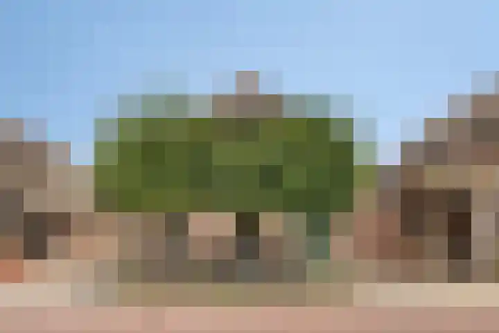 Veneweg 126 Wanneperveen thumbnail 29