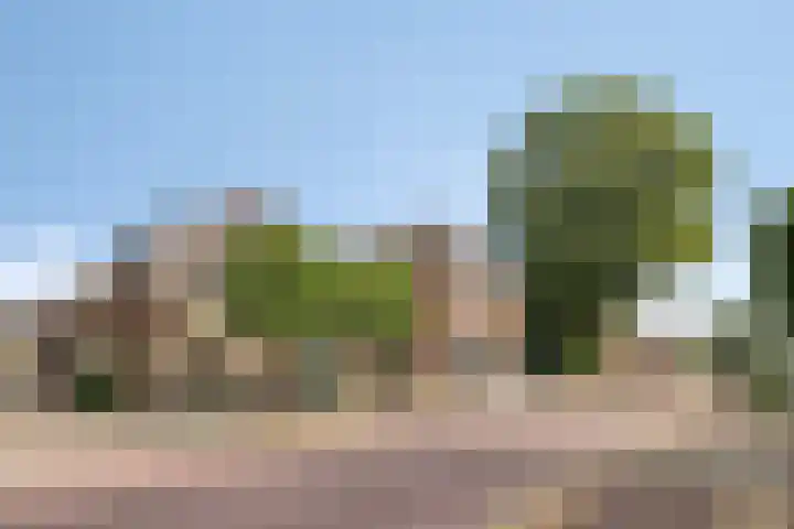 Veneweg 126 Wanneperveen thumbnail 30