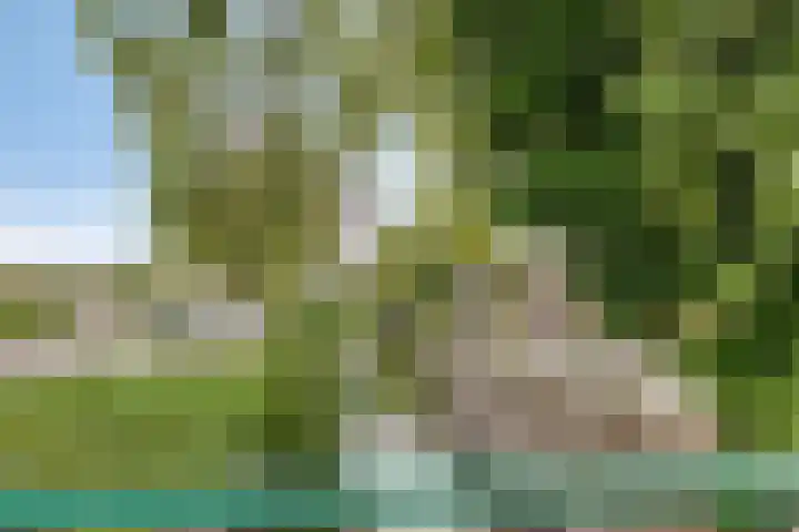 Veneweg 126 Wanneperveen thumbnail 32