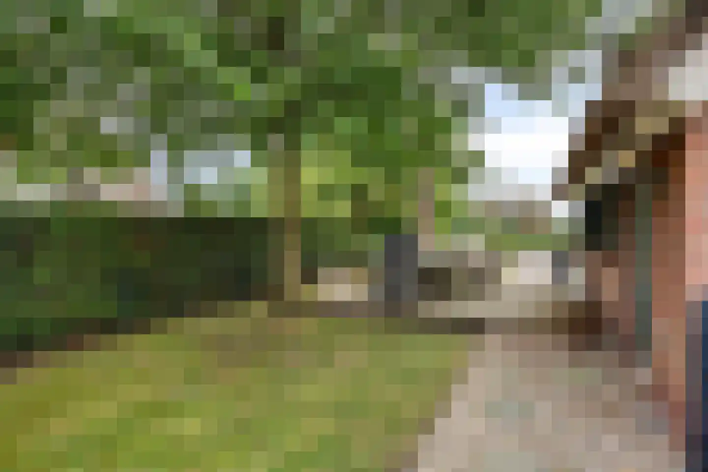 Veneweg 189 17 Wanneperveen thumbnail 41