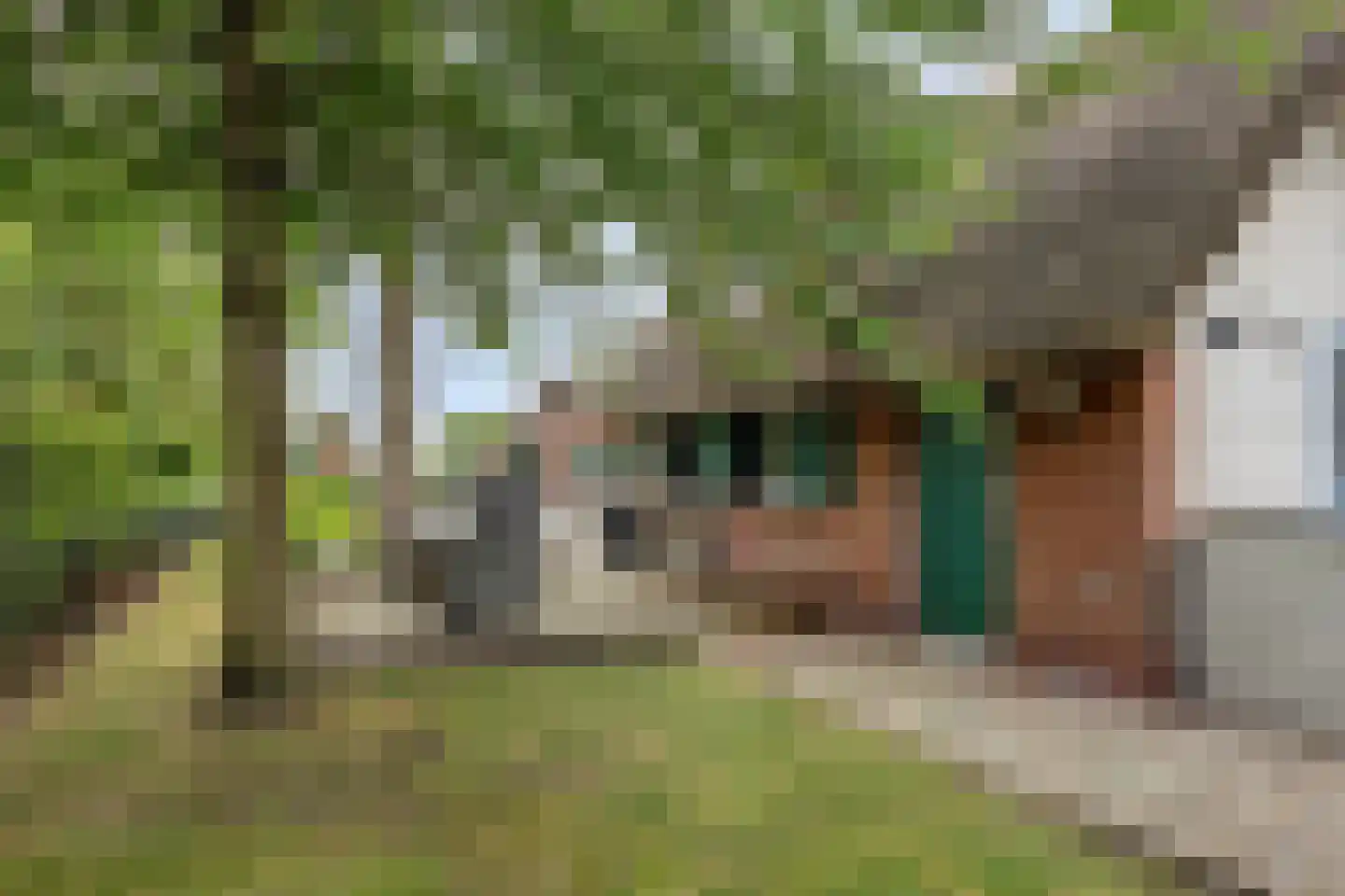 Veneweg 189 17 Wanneperveen thumbnail 42