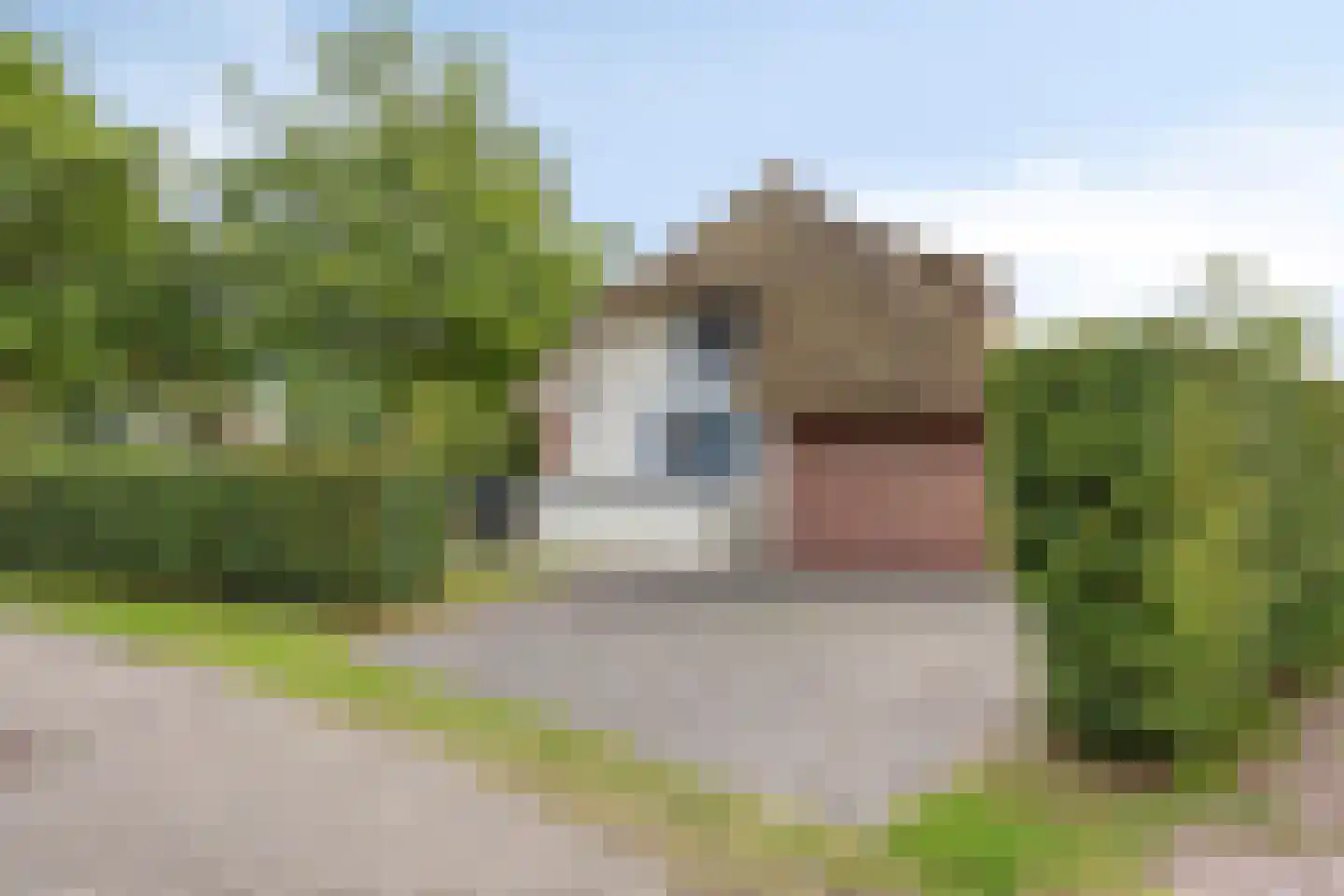 Veneweg 189 17 Wanneperveen thumbnail 45