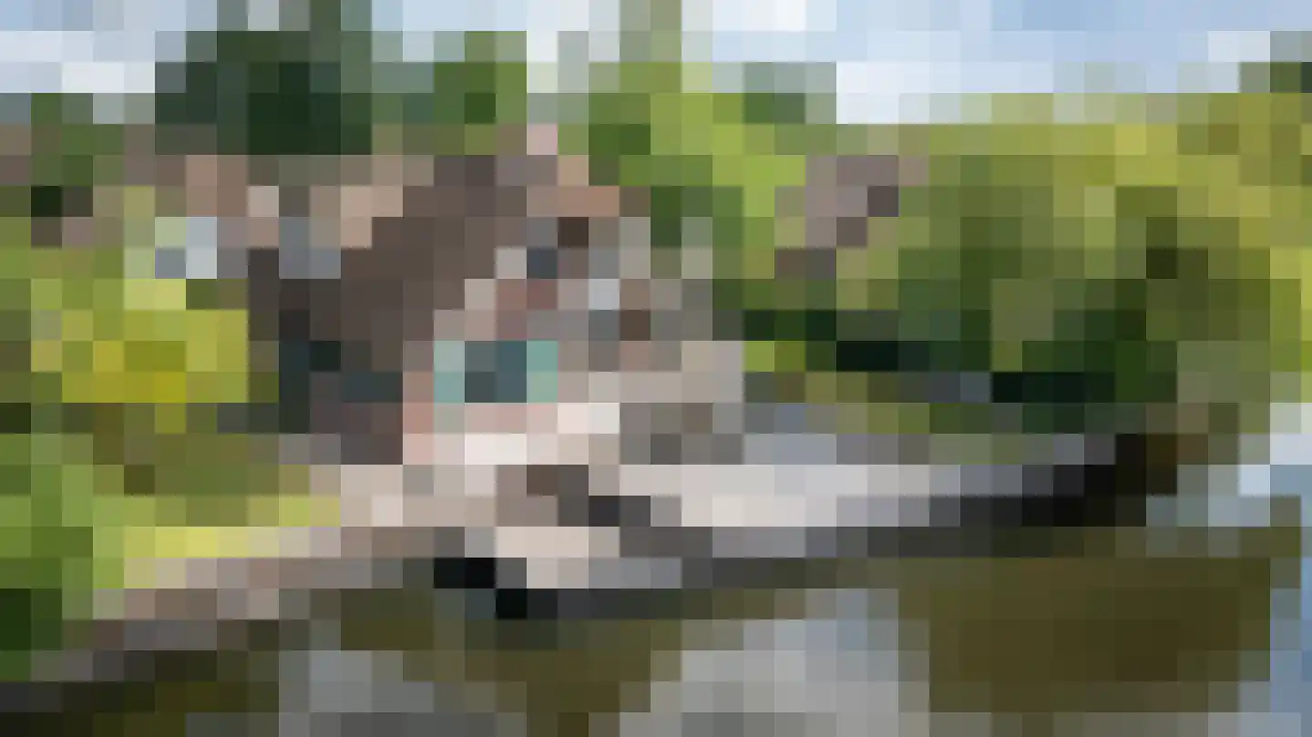 Veneweg 189 17 Wanneperveen thumbnail 49