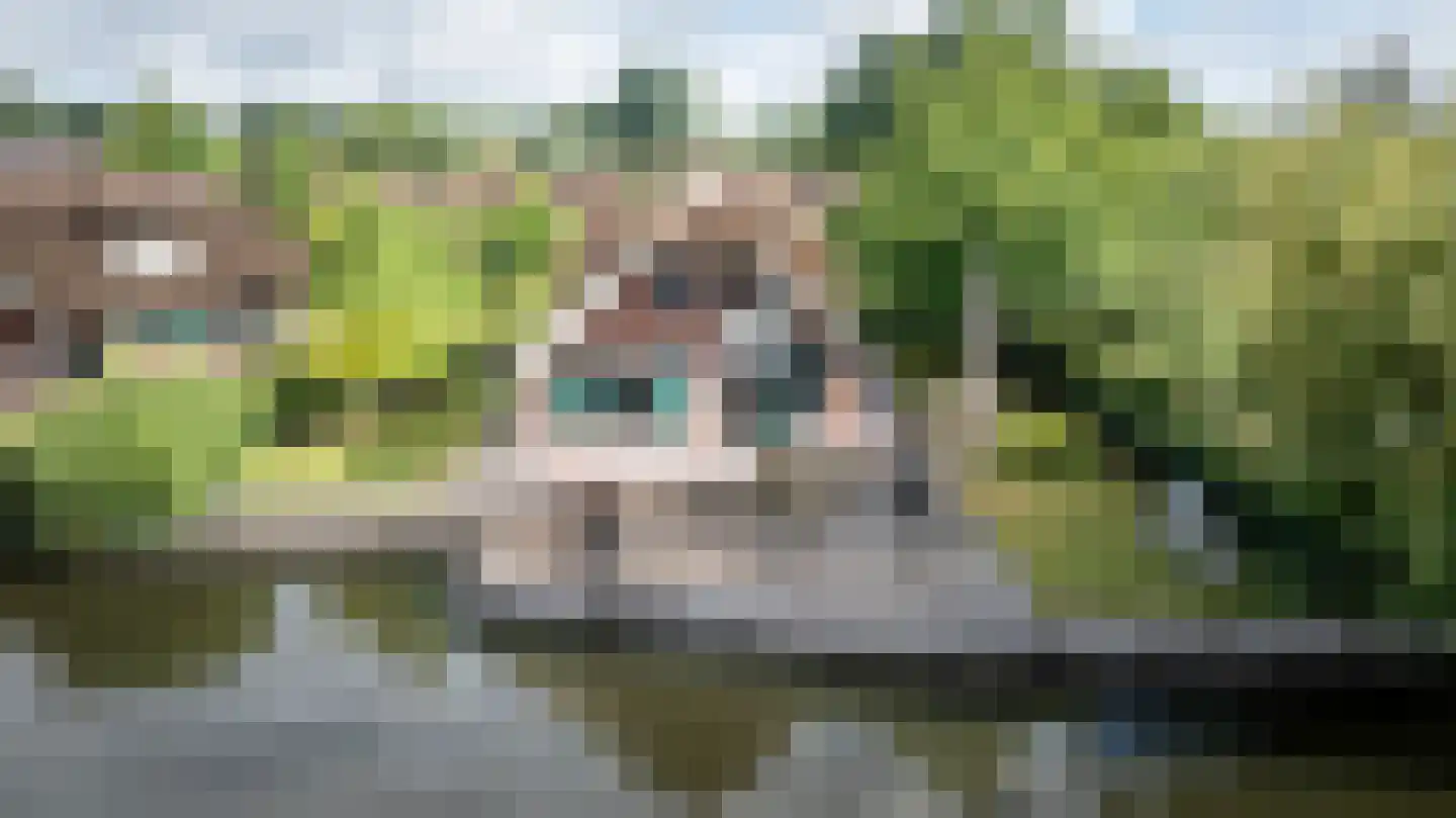 Veneweg 189 17 Wanneperveen thumbnail 50
