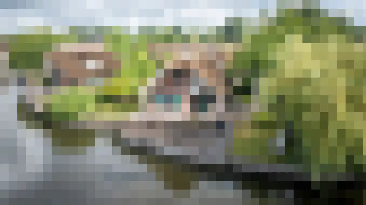 Veneweg 189 17 Wanneperveen thumbnail 51