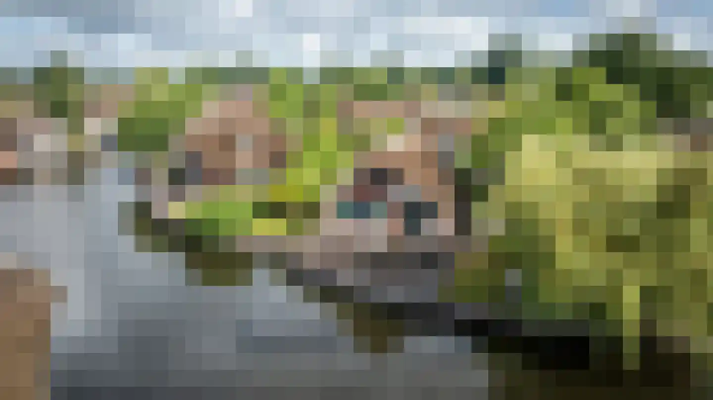 Veneweg 189 17 Wanneperveen thumbnail 52