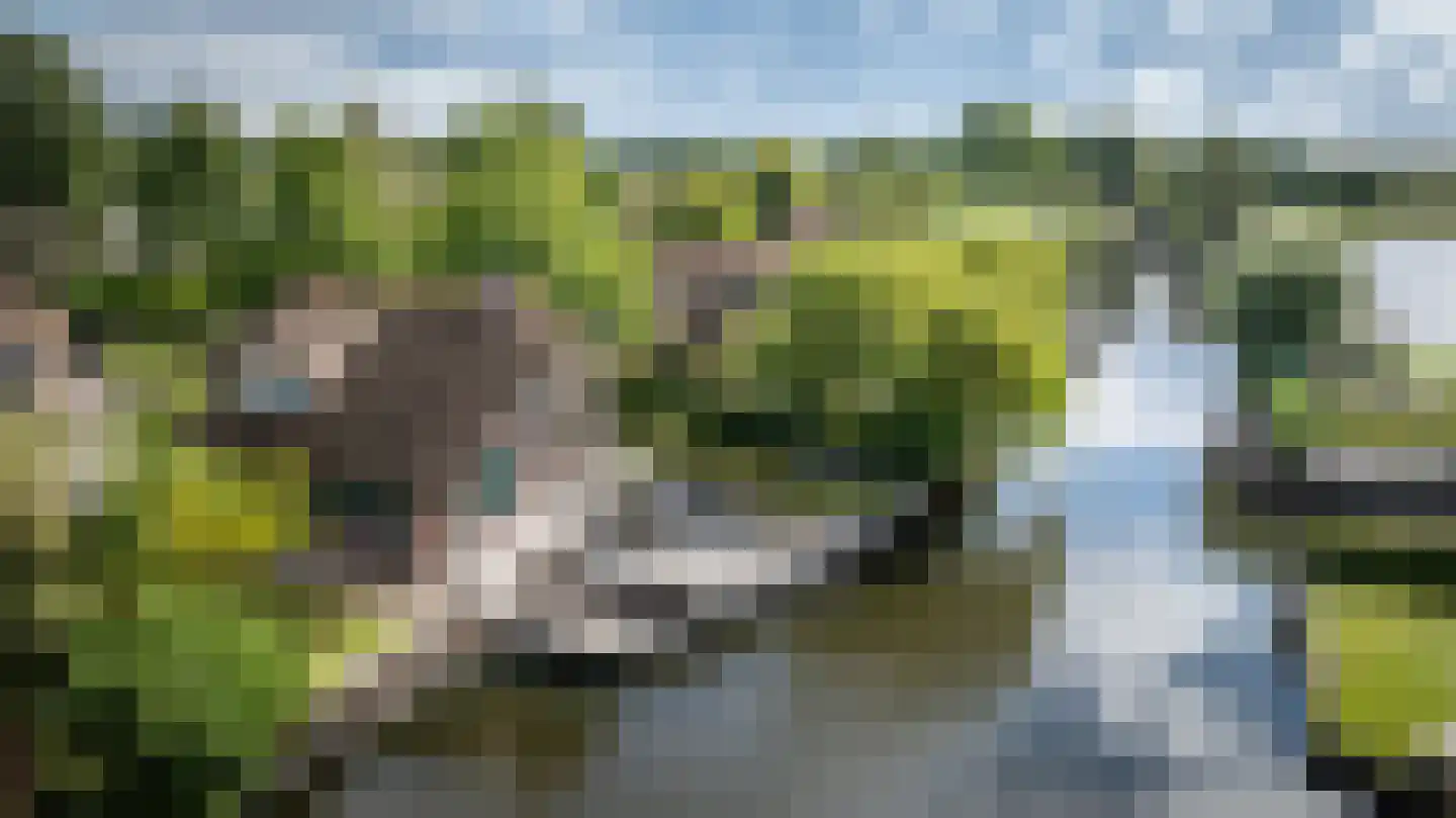 Veneweg 189 17 Wanneperveen thumbnail 54