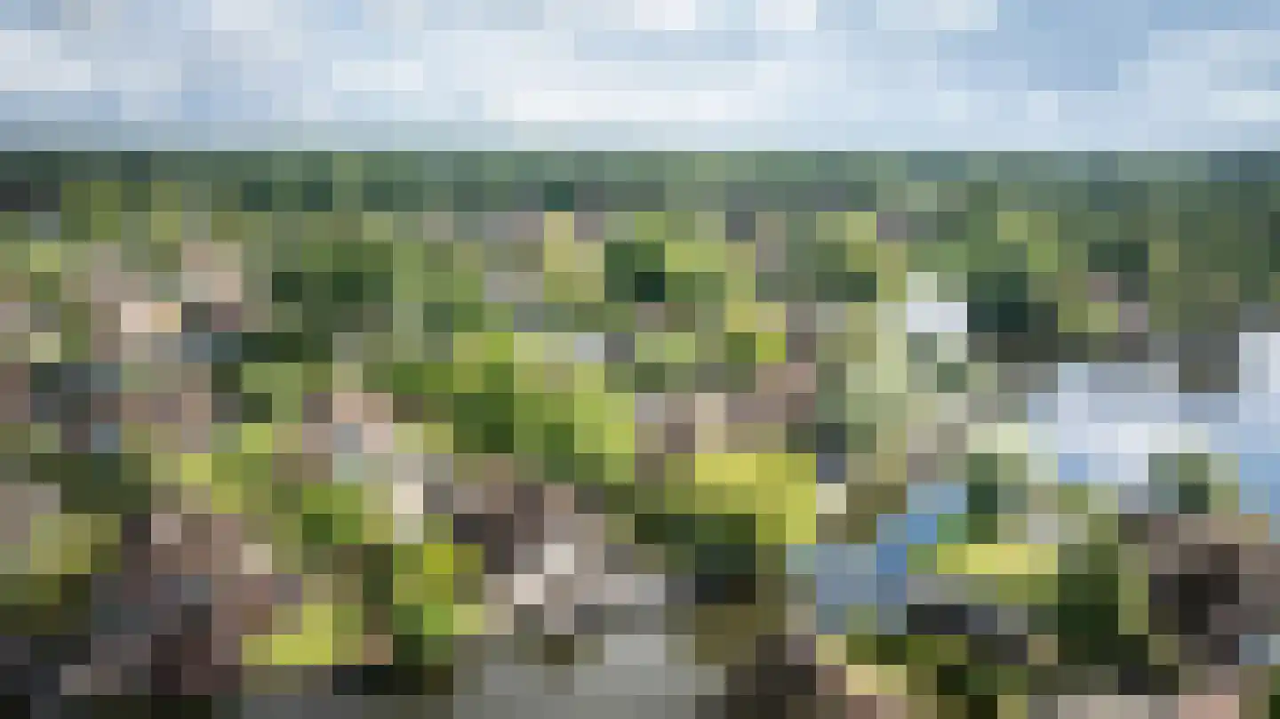 Veneweg 189 17 Wanneperveen thumbnail 55
