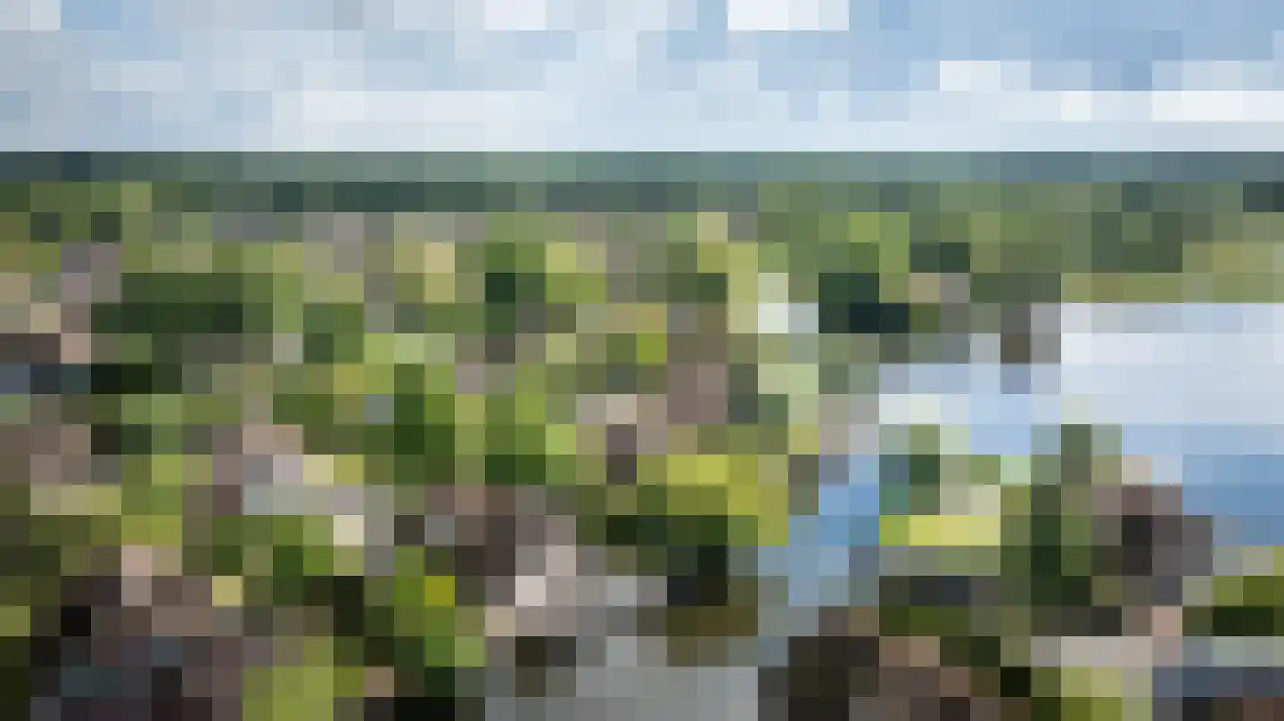 Veneweg 189 17 Wanneperveen thumbnail 56