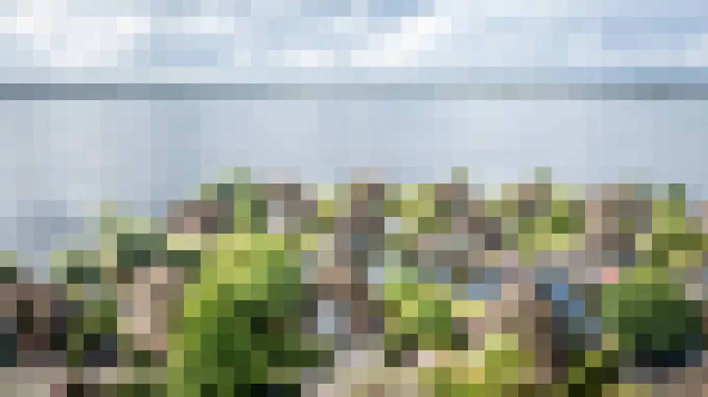 Veneweg 189 17 Wanneperveen thumbnail 58