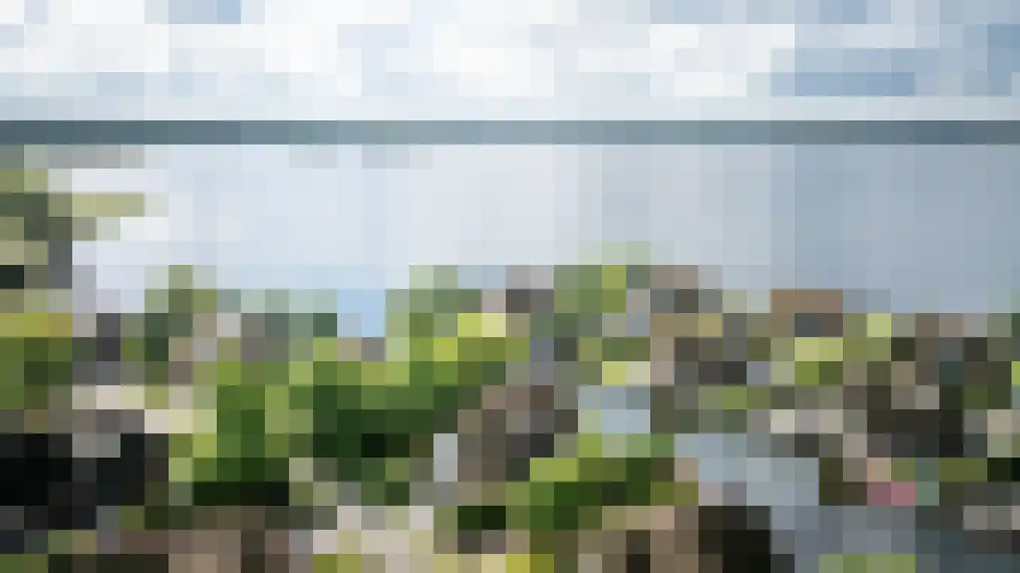 Veneweg 189 17 Wanneperveen thumbnail 60