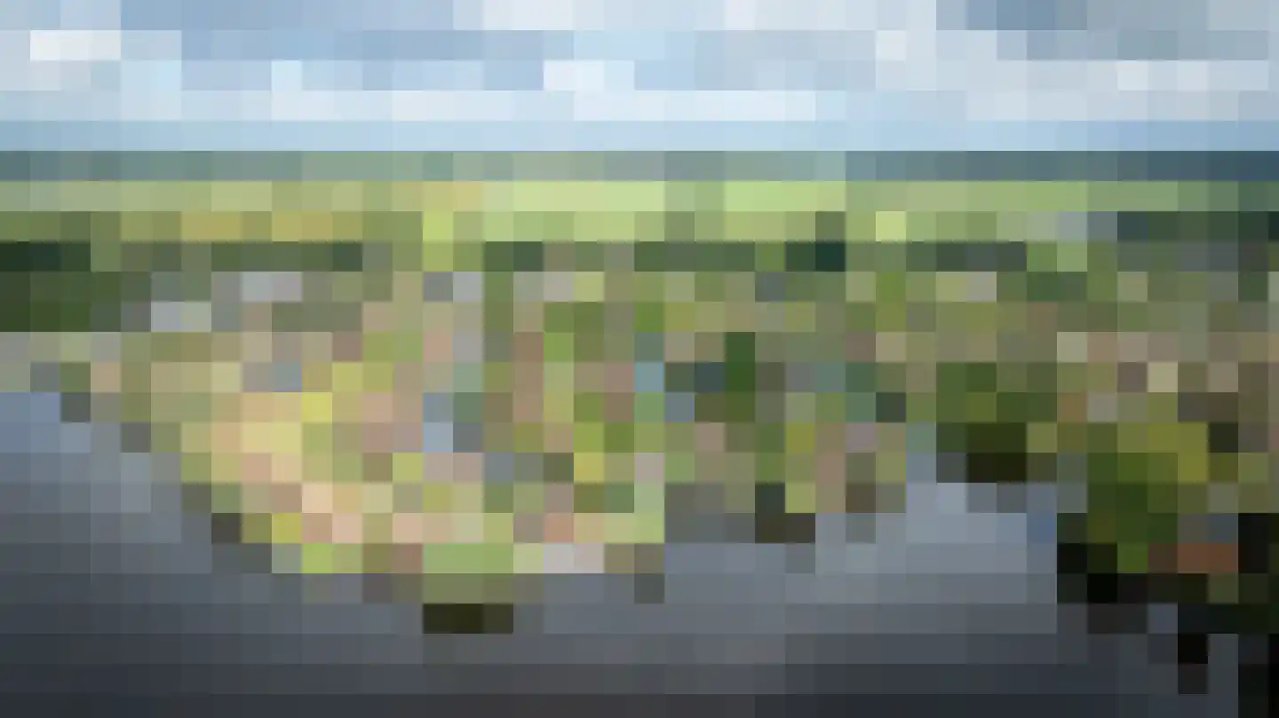Veneweg 189 17 Wanneperveen thumbnail 62