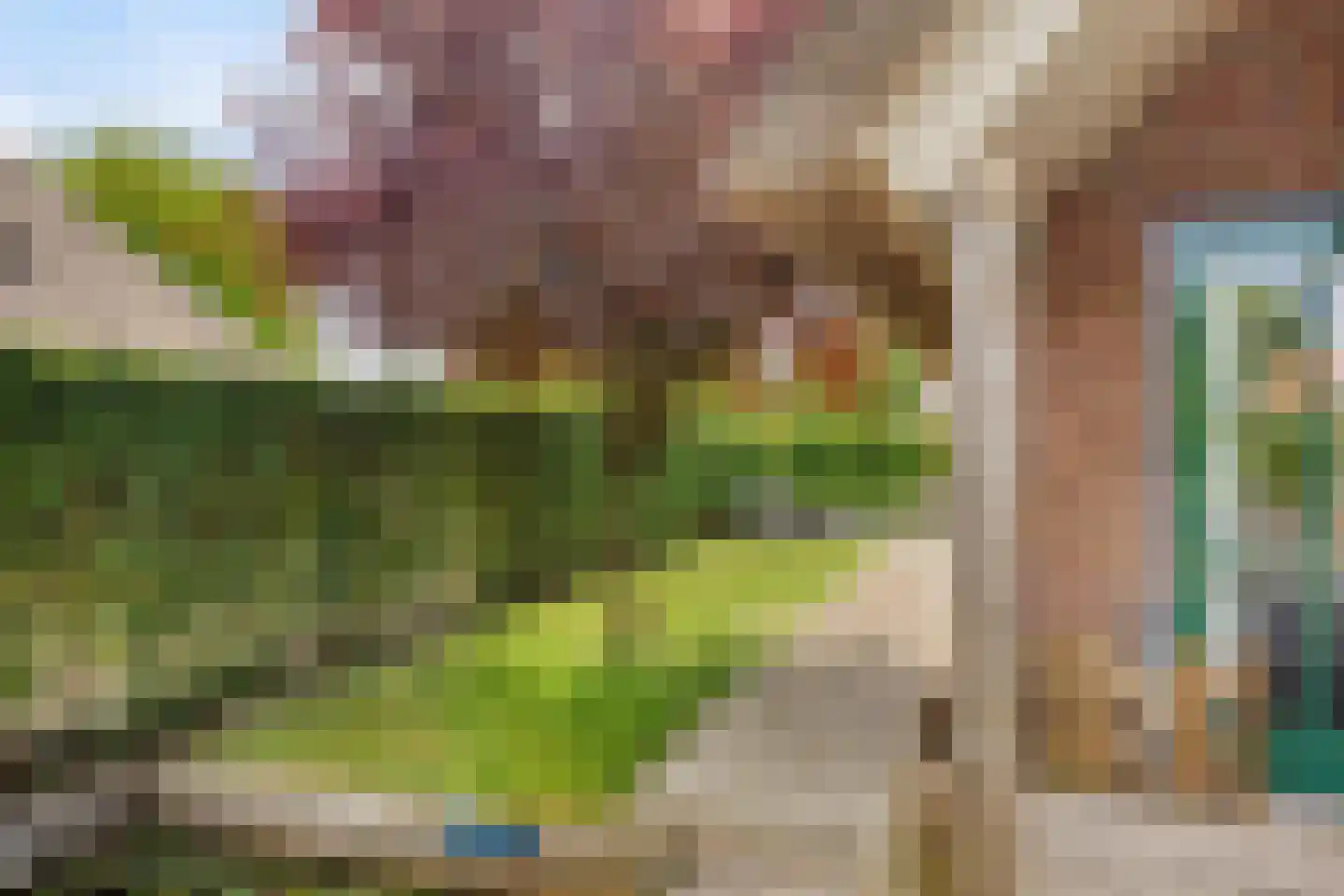 Veneweg 189 2 Wanneperveen thumbnail 8