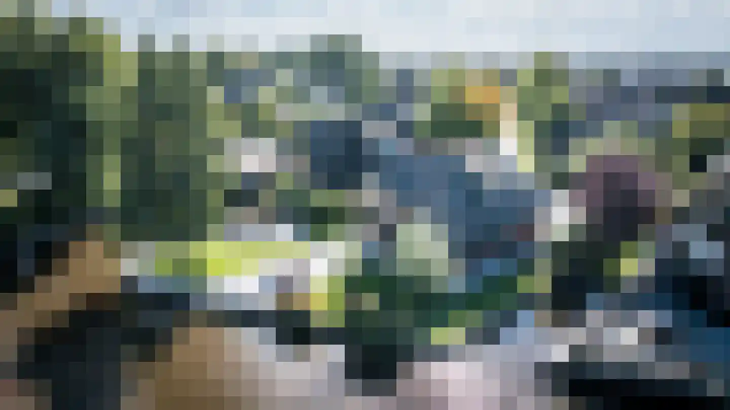 Veneweg 189 3 Wanneperveen thumbnail 50
