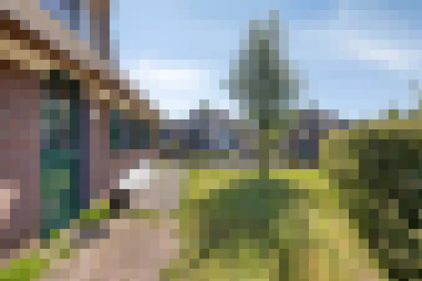 Veneweg 189 44 Wanneperveen thumbnail 34