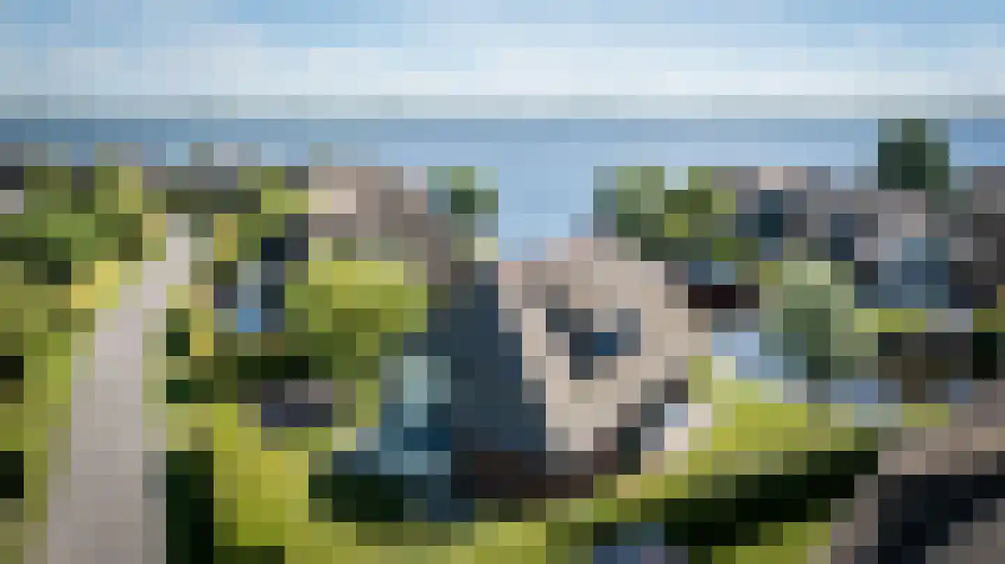 Veneweg 189 44 Wanneperveen thumbnail 40