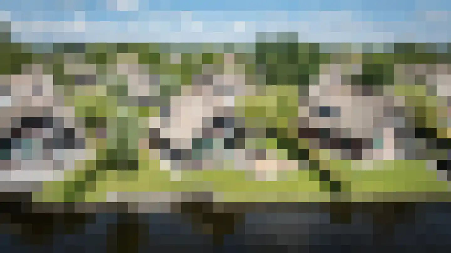 Veneweg 189 44 Wanneperveen thumbnail 42