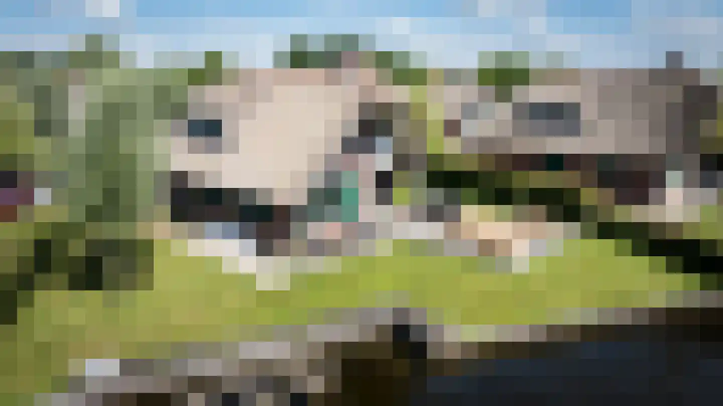 Veneweg 189 44 Wanneperveen thumbnail 45