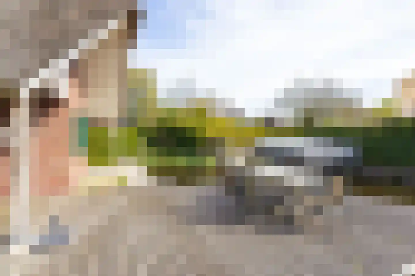 Veneweg 189 5 Wanneperveen thumbnail 28
