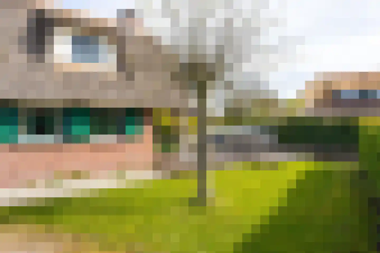 Veneweg 189 5 Wanneperveen thumbnail 32