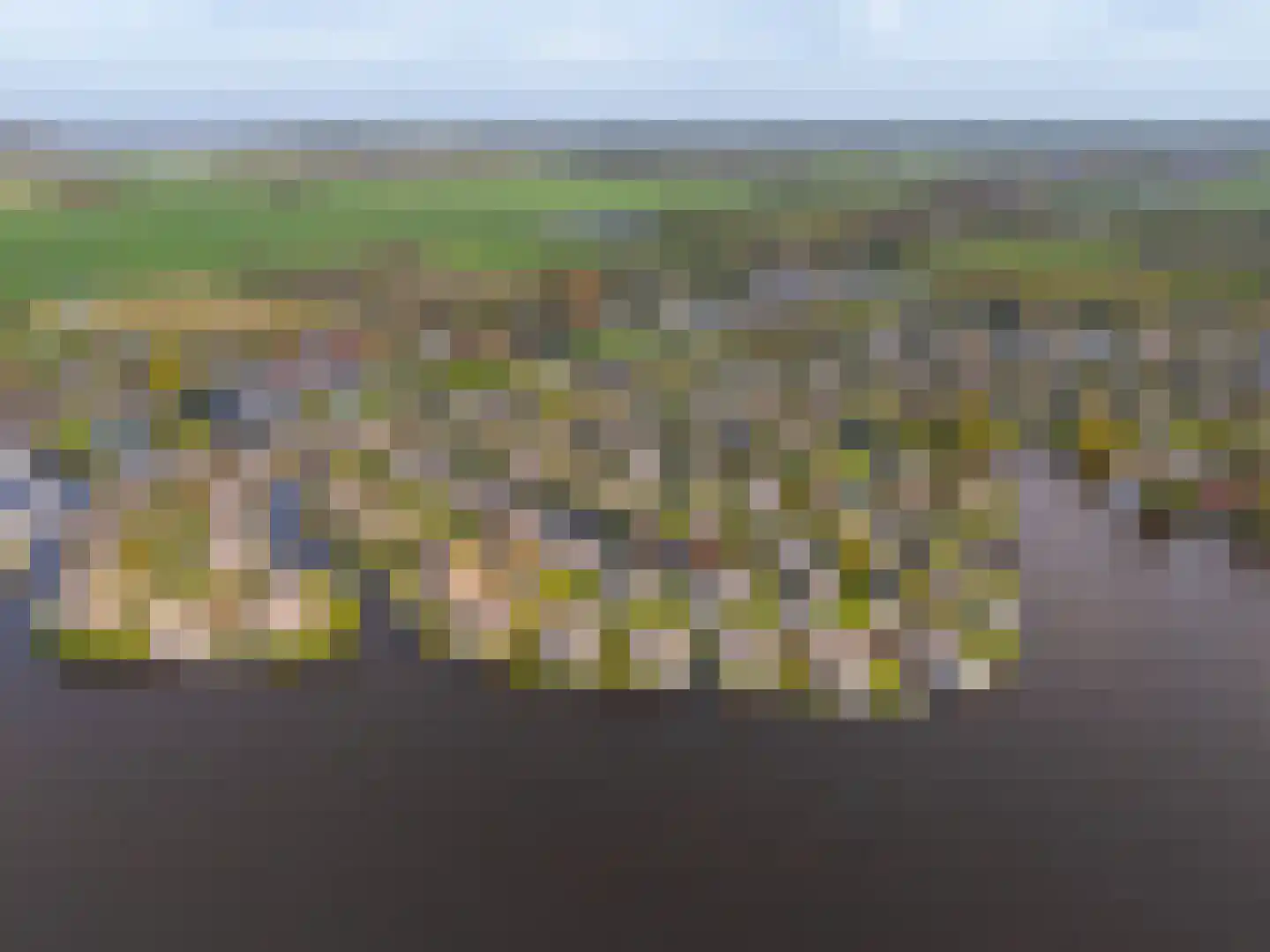 Veneweg 189 5 Wanneperveen thumbnail 52
