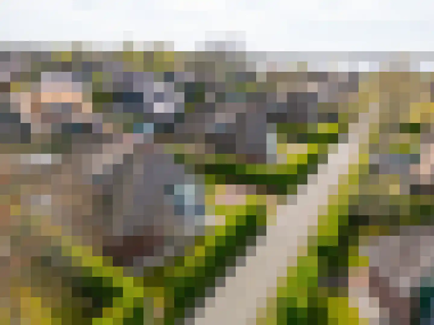 Veneweg 189 5 Wanneperveen thumbnail 58