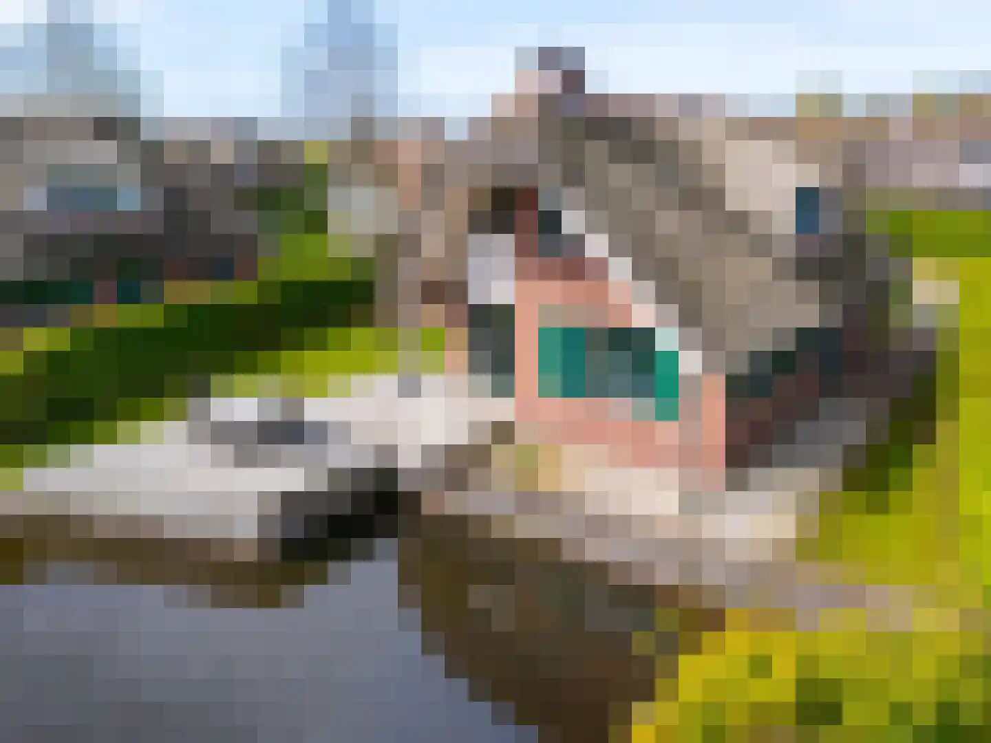 Veneweg 189 5 Wanneperveen thumbnail 60