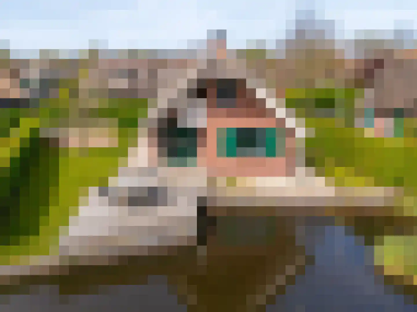 Veneweg 189 5 Wanneperveen thumbnail 61