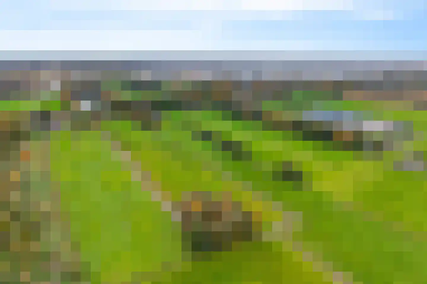 Veneweg 196 Wanneperveen thumbnail 4