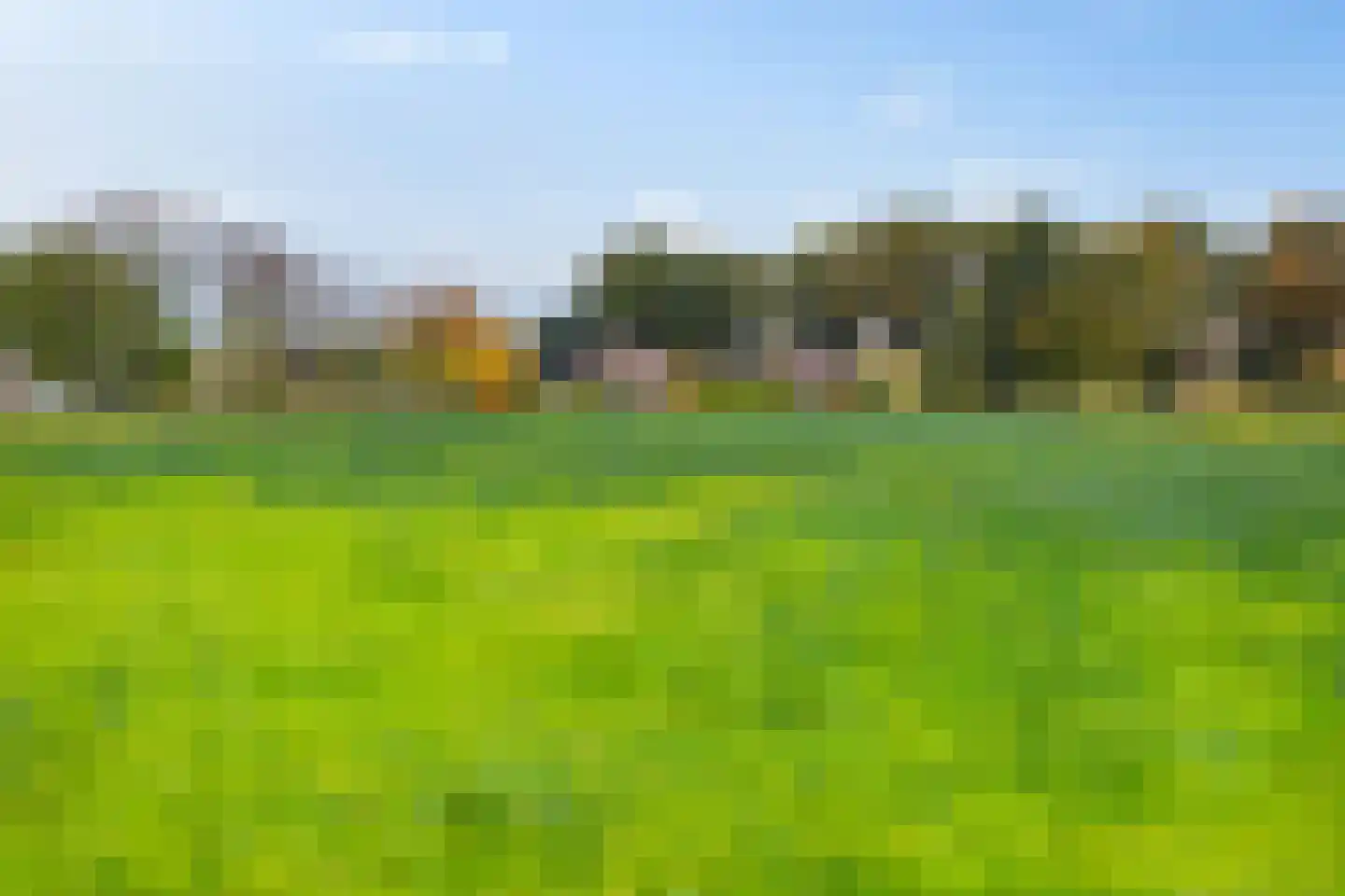 Veneweg 196 Wanneperveen thumbnail 41