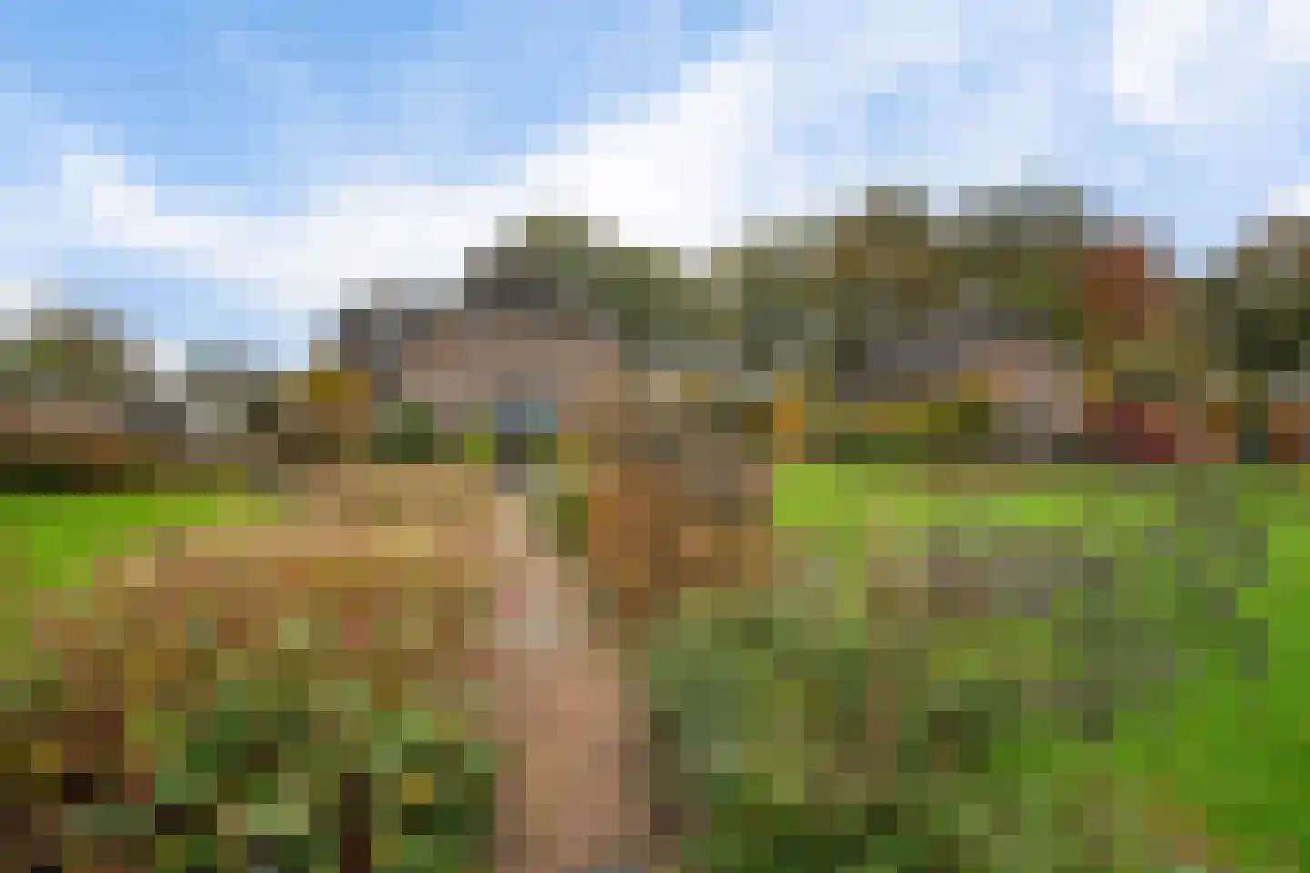 Veneweg 196 Wanneperveen thumbnail 42