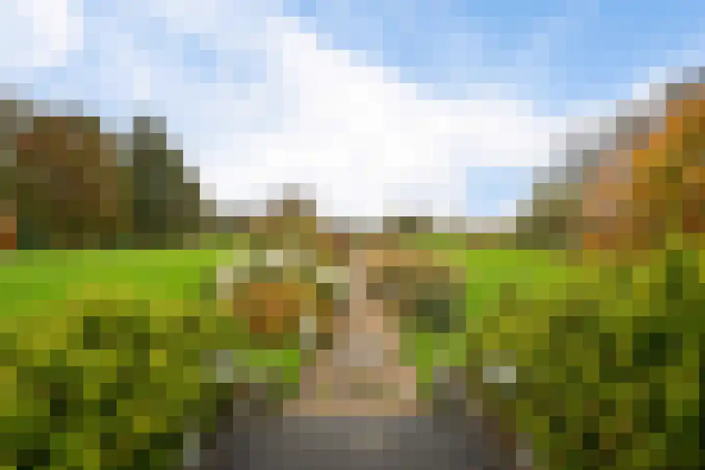 Veneweg 196 Wanneperveen thumbnail 43