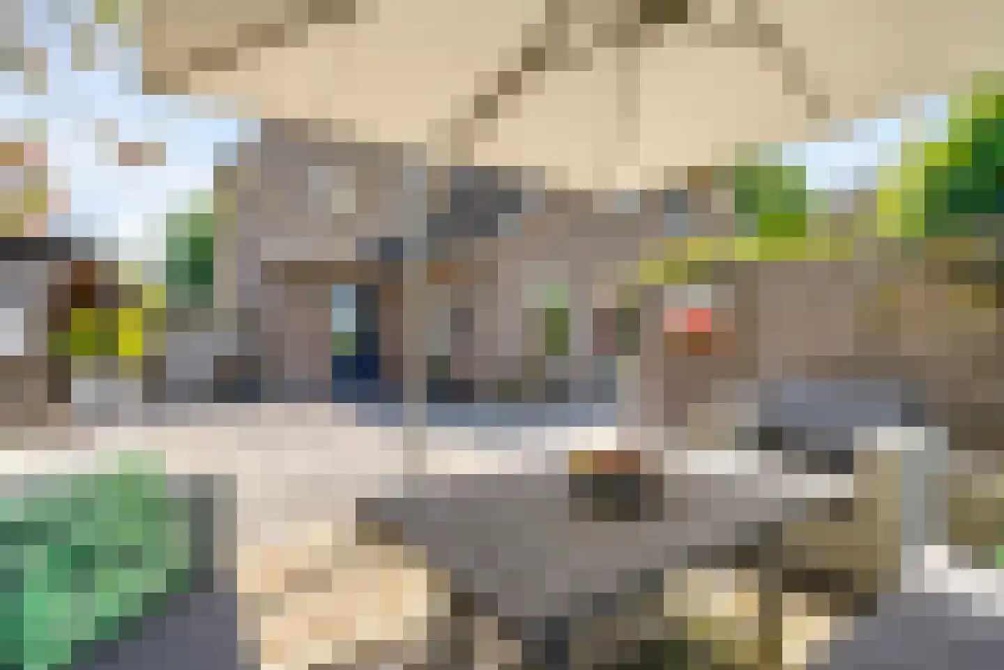 Veneweg 196 Wanneperveen thumbnail 43