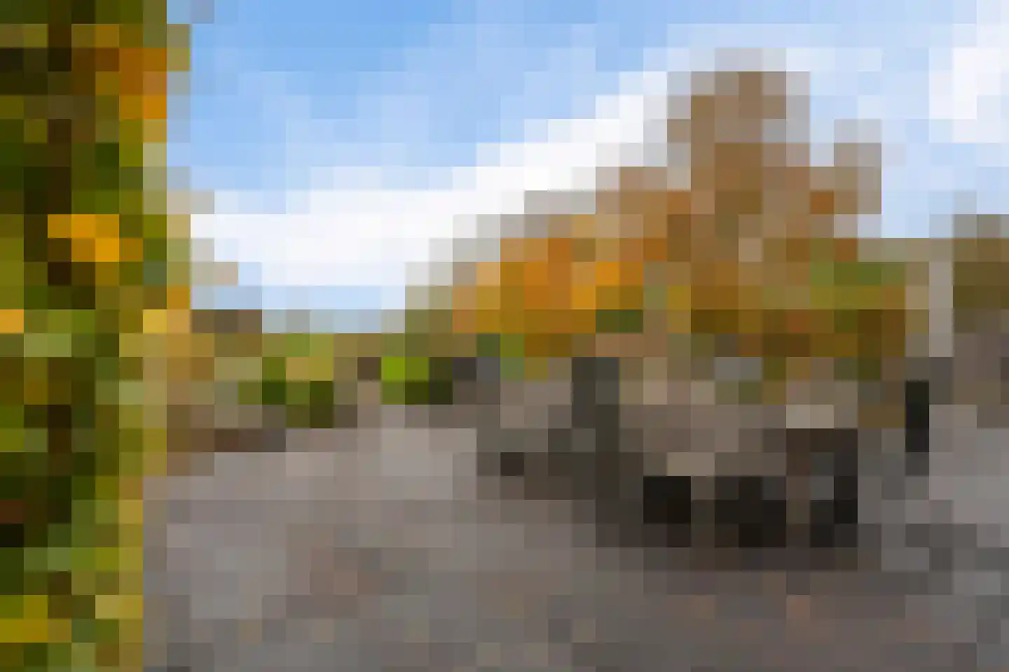 Veneweg 196 Wanneperveen thumbnail 46