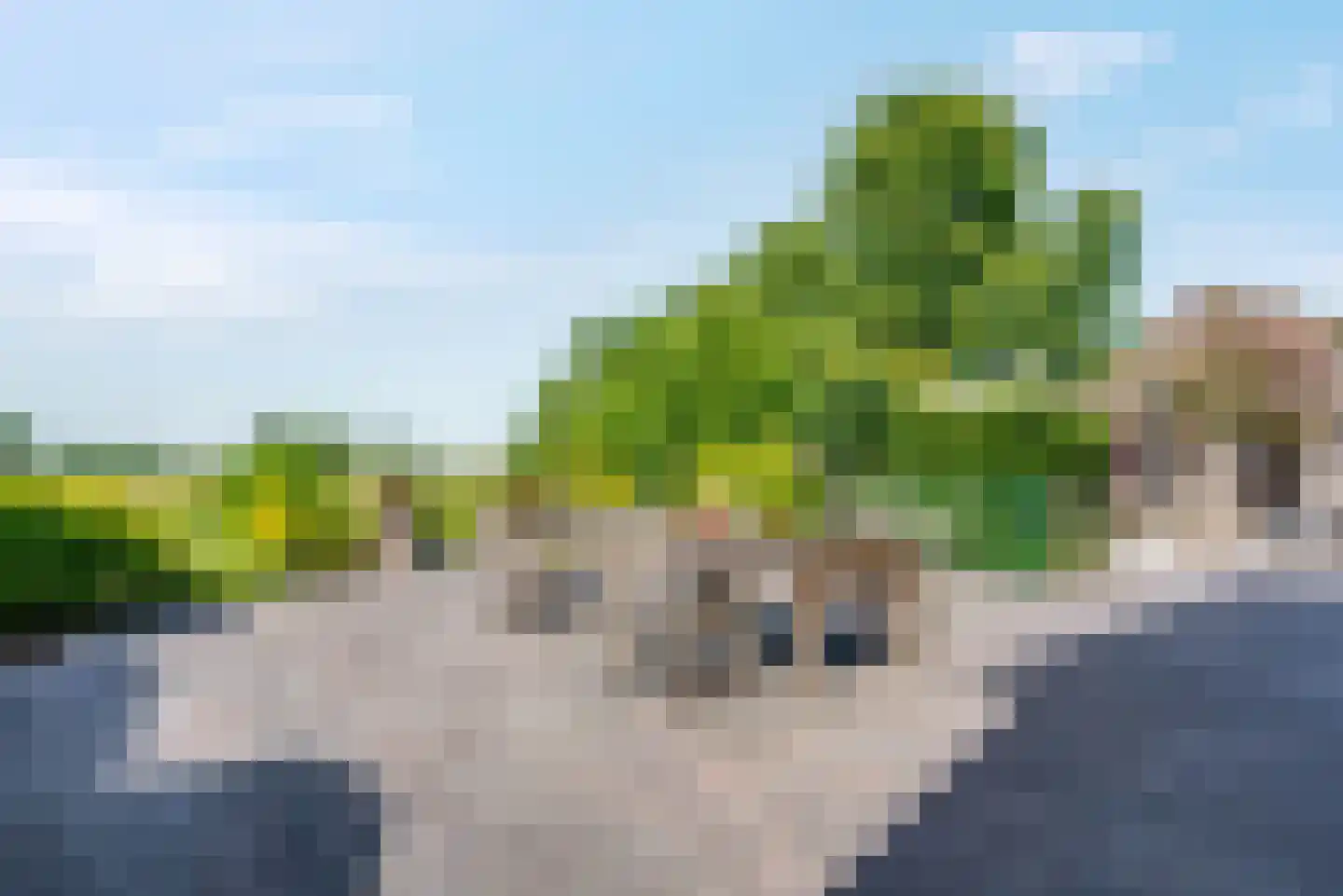 Veneweg 196 Wanneperveen thumbnail 46