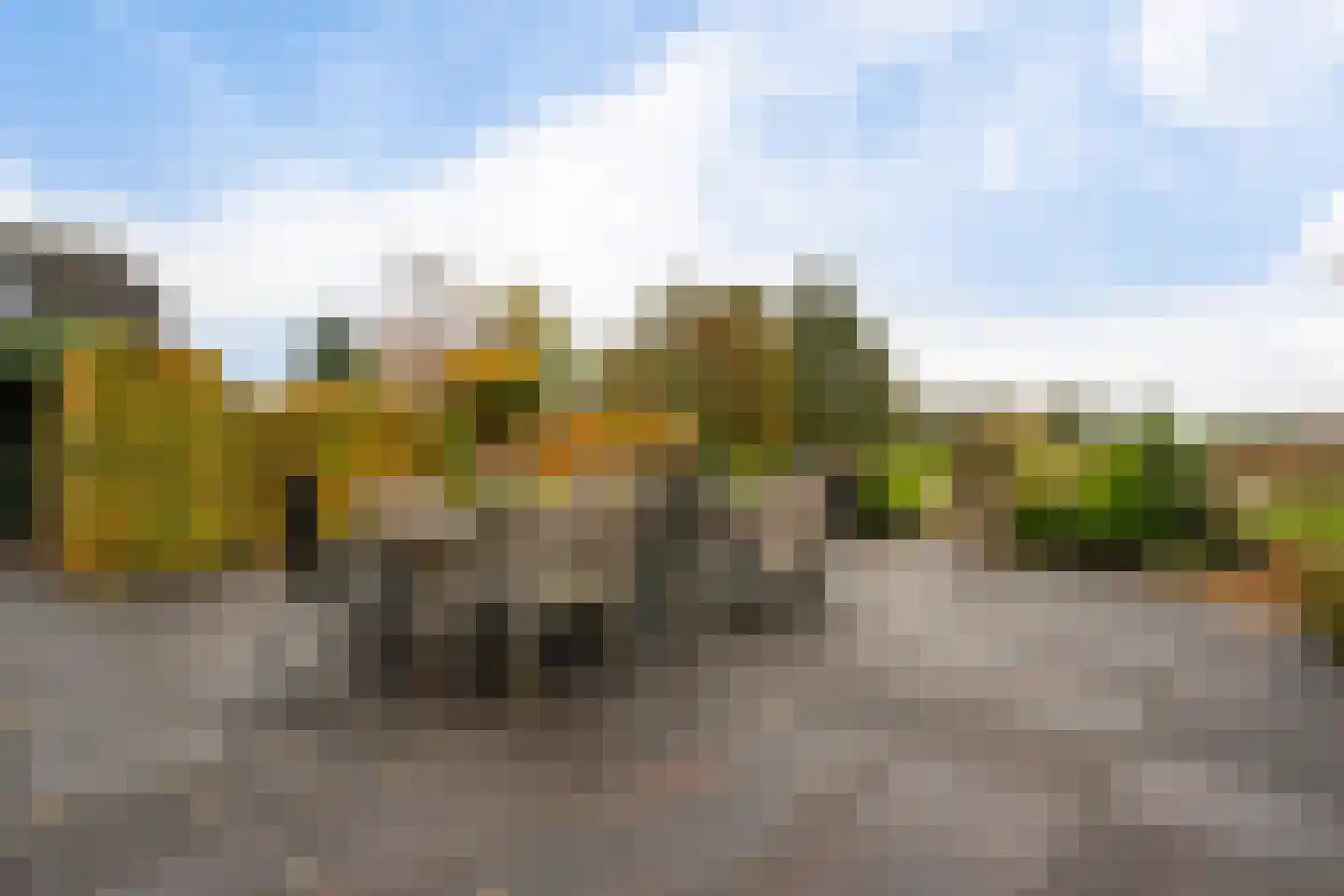 Veneweg 196 Wanneperveen thumbnail 47