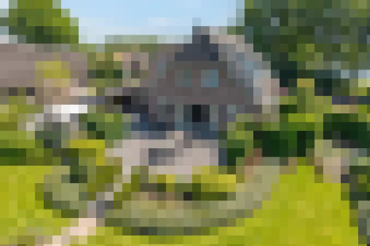 Veneweg 196 Wanneperveen thumbnail 54