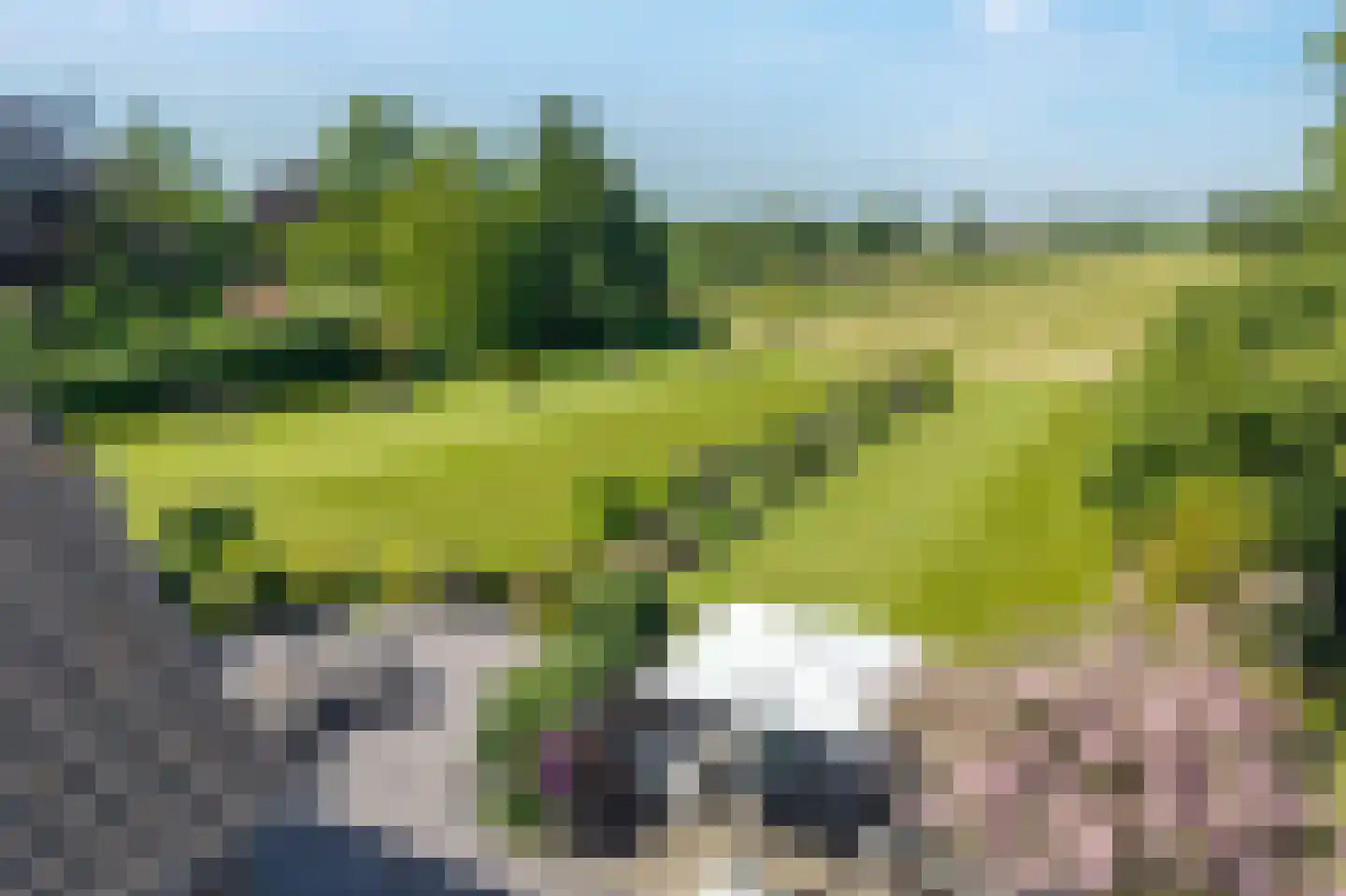 Veneweg 196 Wanneperveen thumbnail 59